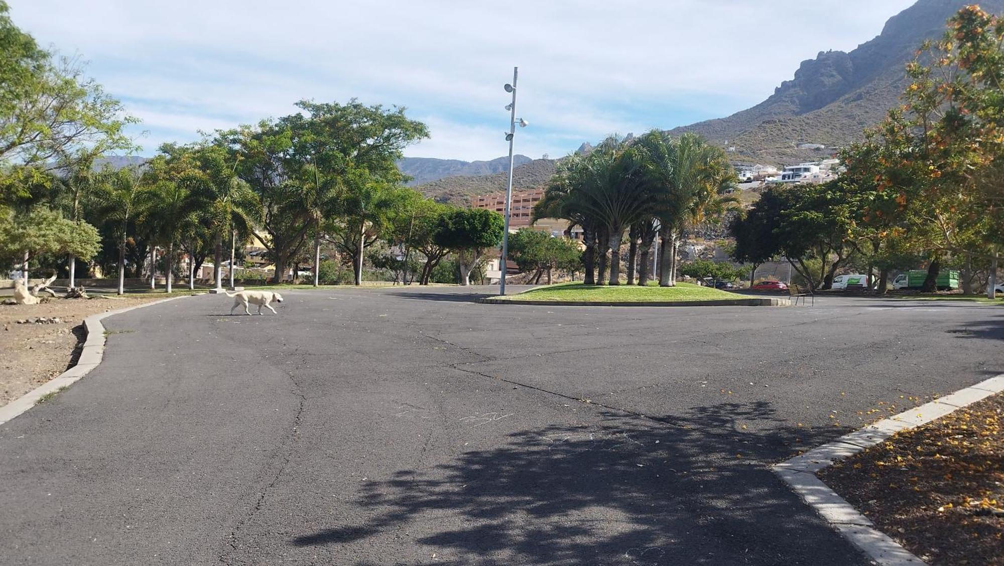 Magic Tenerife Costa Adeje  Exterior foto